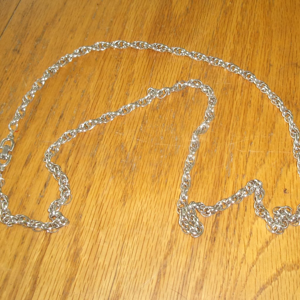 Roget Necklace Silver Tone Link Chain